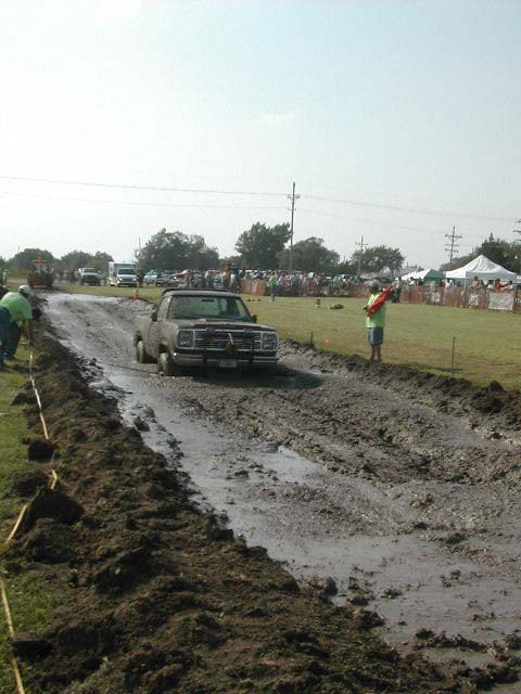 MudBog4.jpg