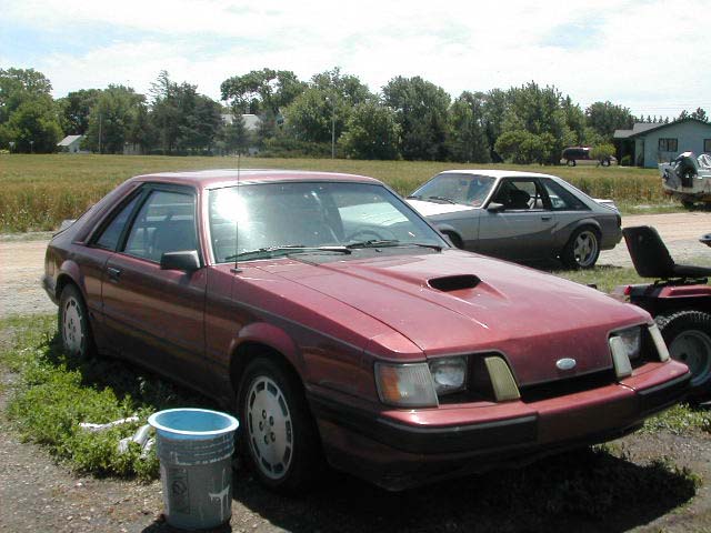 1985 Mustang SVO